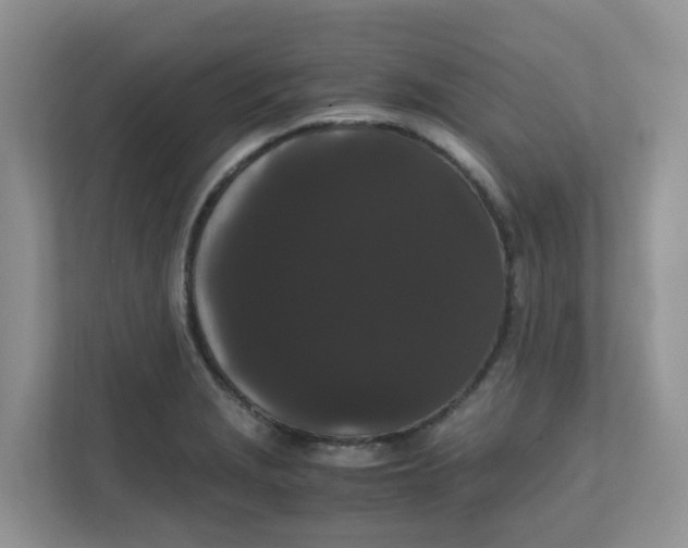 X0000111861229200908131452