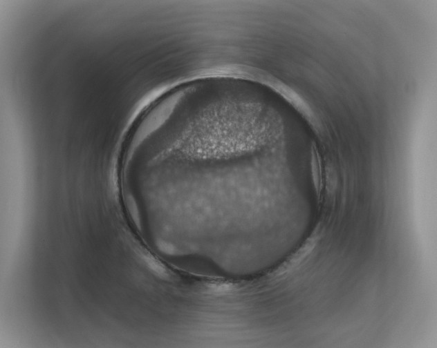 X0000111861230200908131452