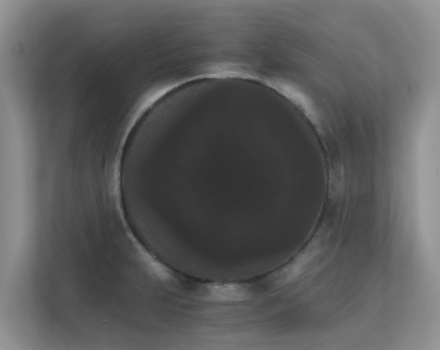 X0000111861231200908131452