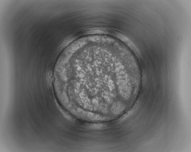 X0000111861233200908131453