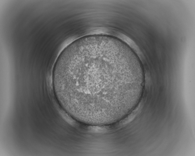 X0000111861234200908131453