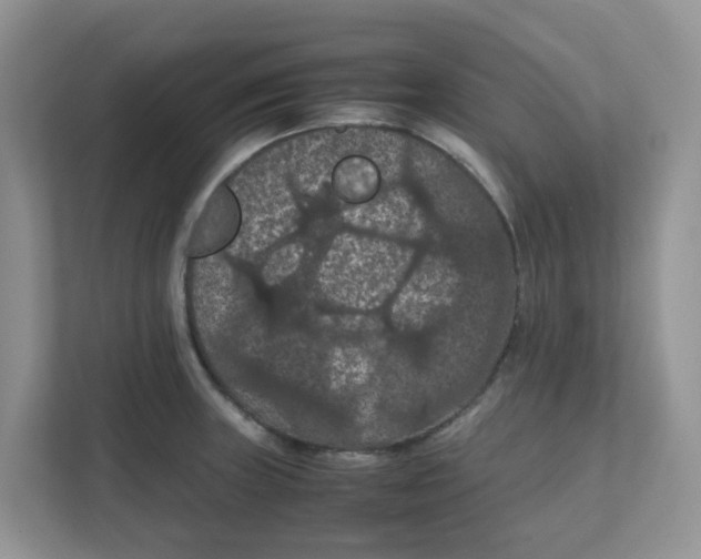 X0000111861235200908131453