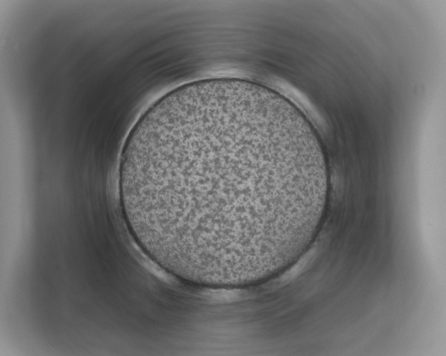 X0000111861236200908131453