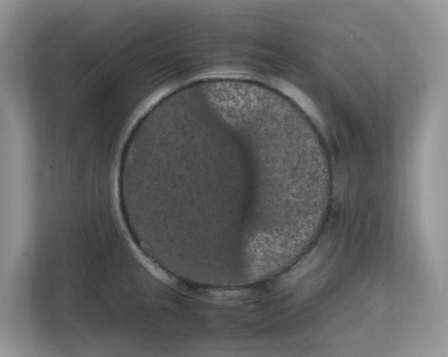 X0000111861237200908131453