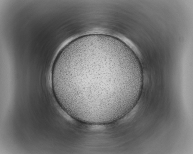 X0000111861238200908131453