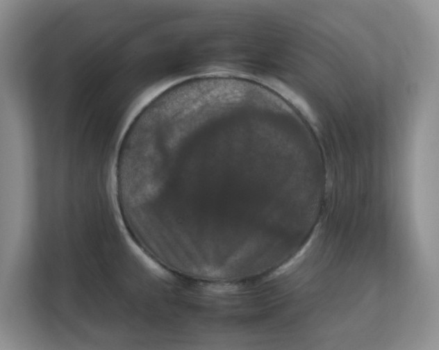 X0000111861239200908131453