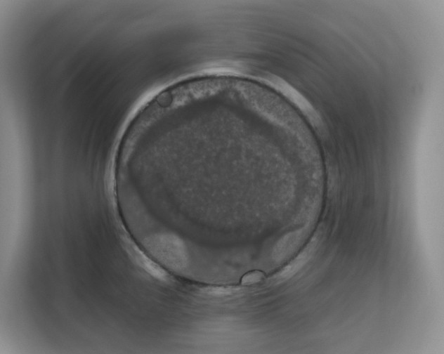 X0000111861240200908131453