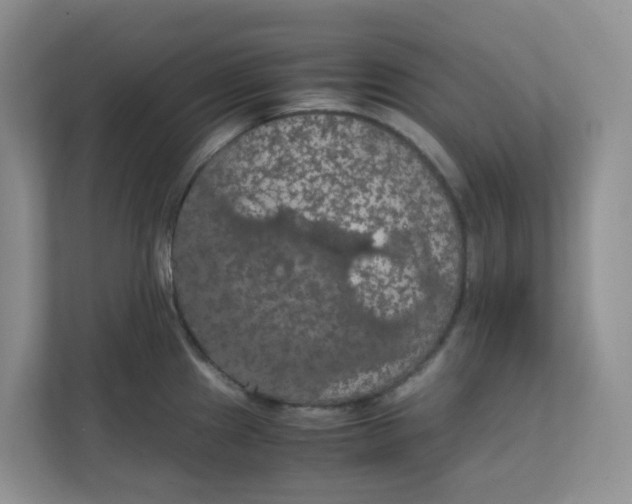 X0000111861241200908131453