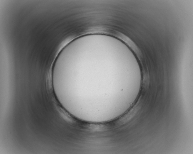 X0000111861242200908131453