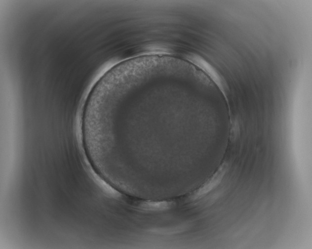 X0000111861243200908131453