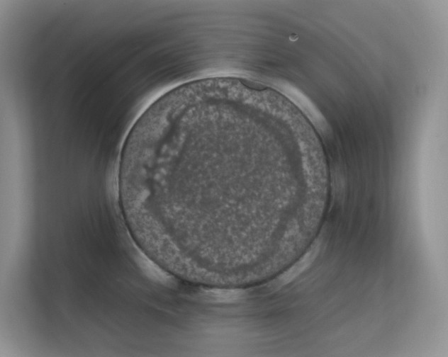 X0000111861244200908131453