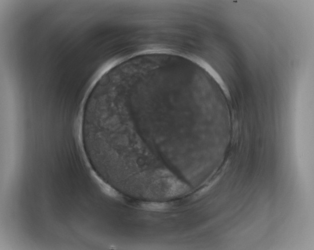 X0000111861245200908131453