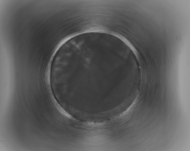 X0000111861246200908131453