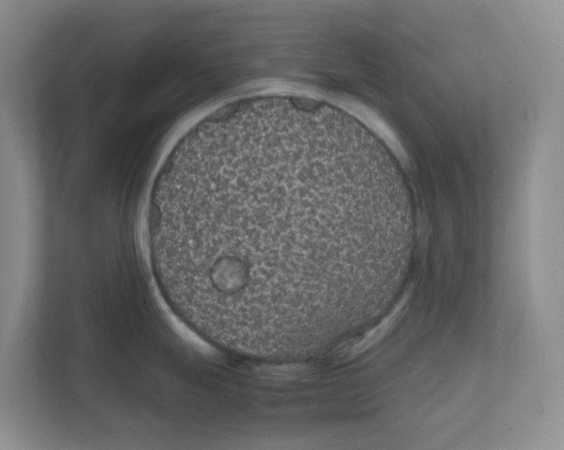 X0000111861247200908131453