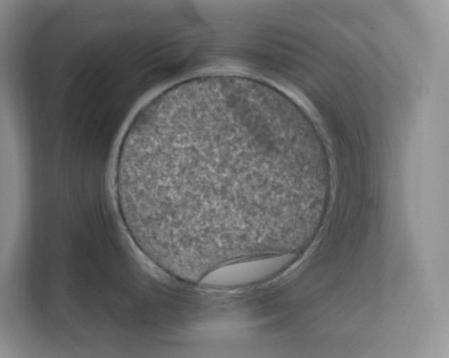 X0000111861248200908131453