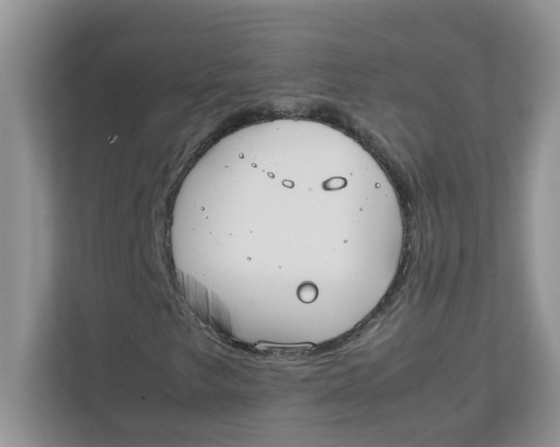 X0000111861249200908131452