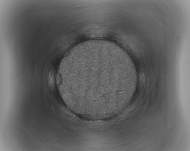 X0000111861250200908131452