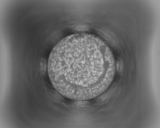 X0000111861251200908131452