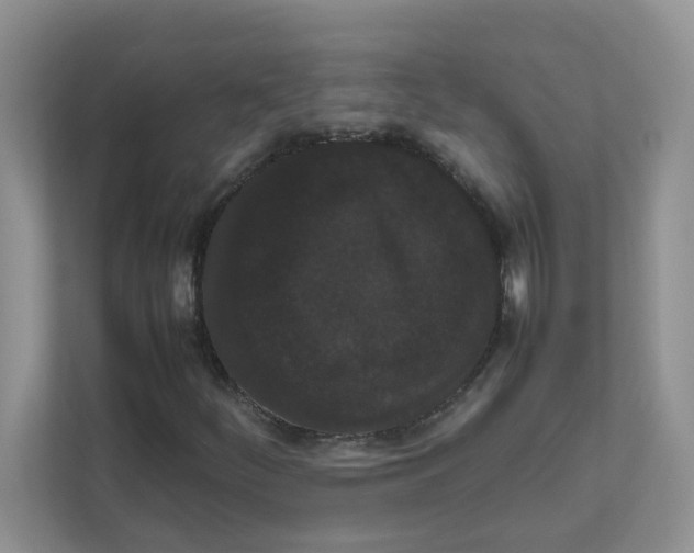 X0000111861252200908131452