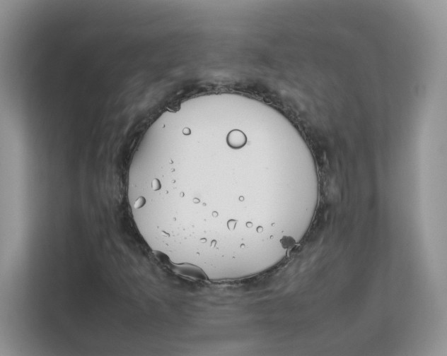 X0000111861253200908131452