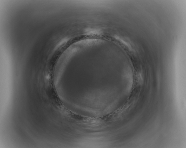 X0000111861254200908131452