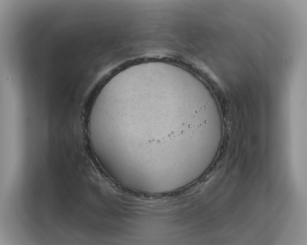 X0000111861256200908131452