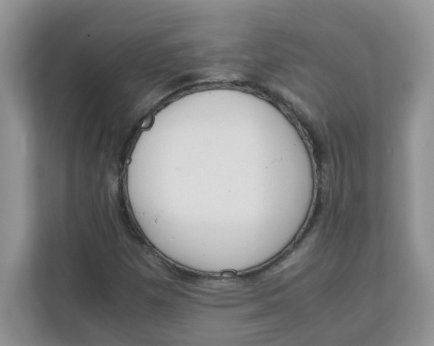 X0000111861257200908131452