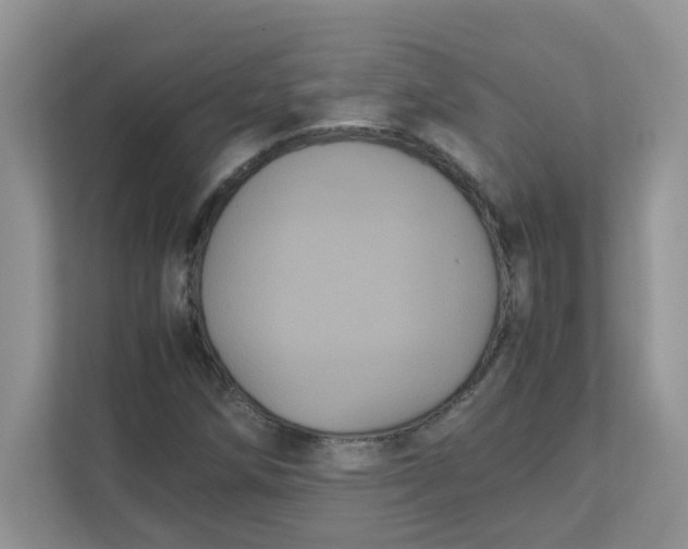 X0000111861258200908131452