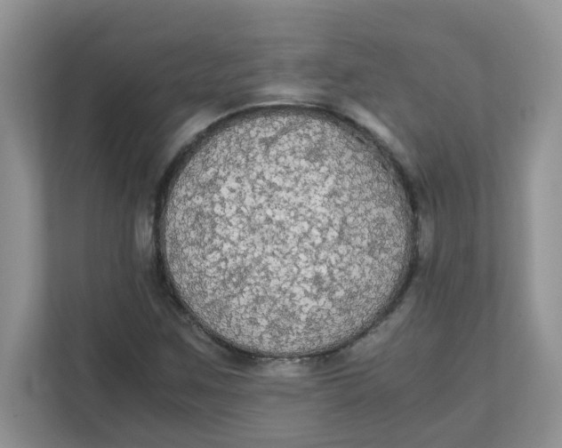 X0000111861259200908131452