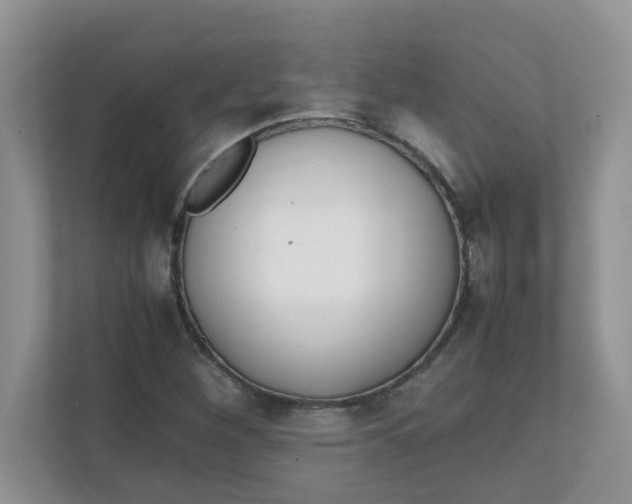 X0000111861260200908131452