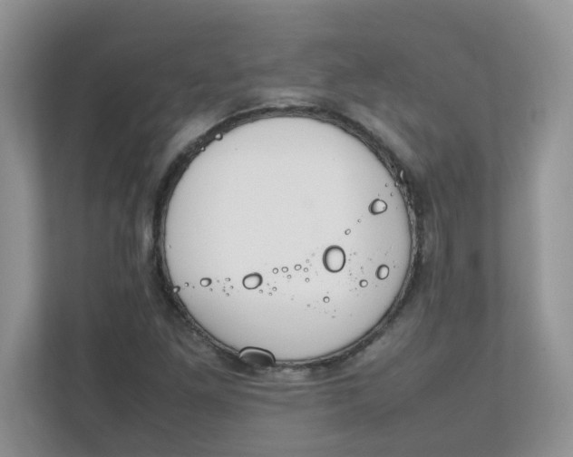 X0000111861261200908131452