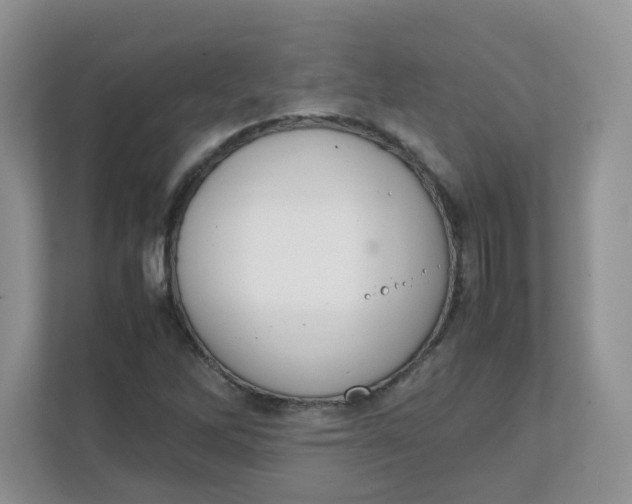 X0000111861262200908131452