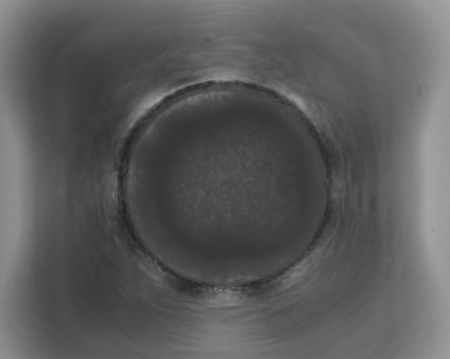 X0000111861263200908131452