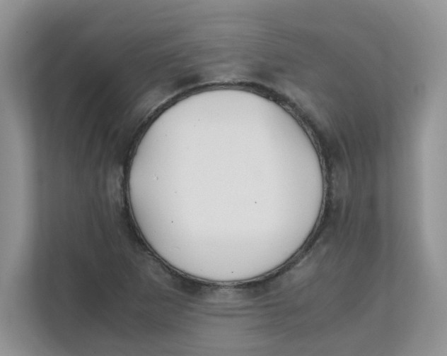 X0000111861265200908131452