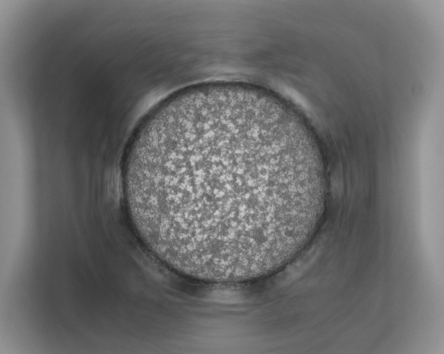 X0000111861267200908131452