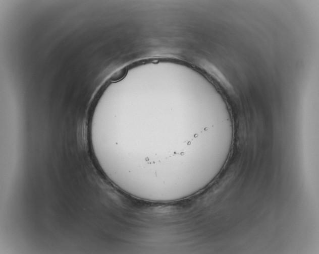 X0000111861268200908131452