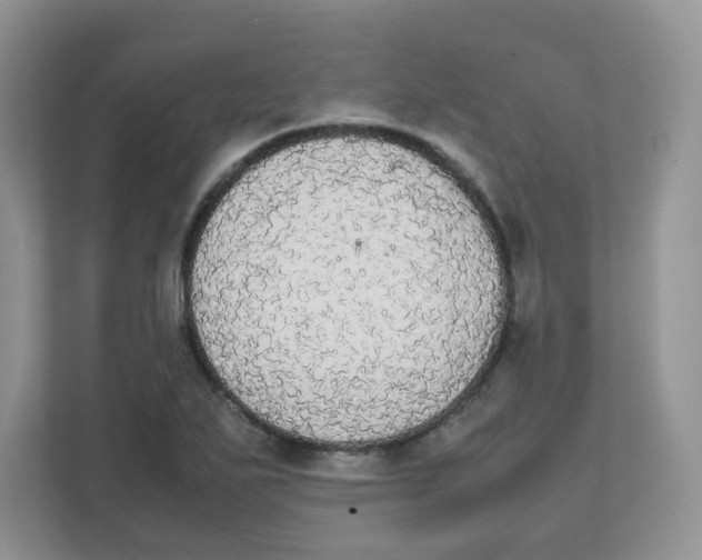 X0000111861271200908131452