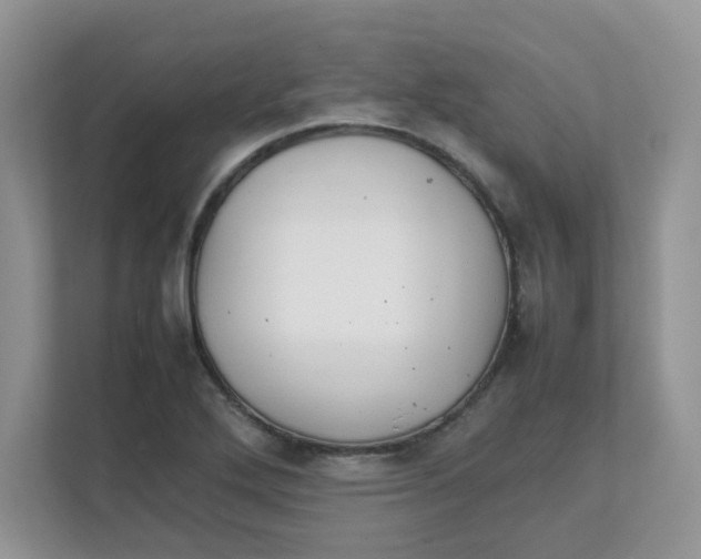 X0000111861272200908131452