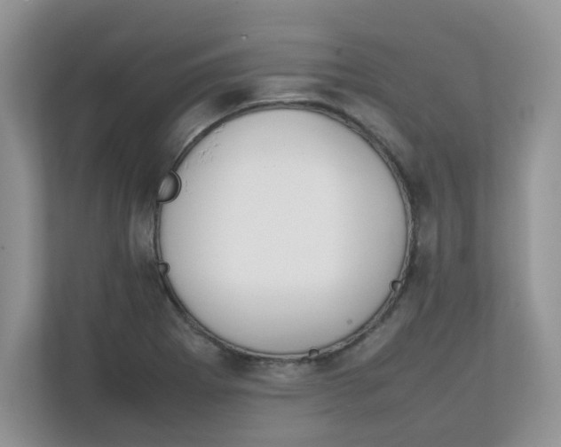 X0000111861273200908131452