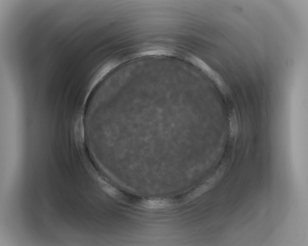 X0000111861274200908131452