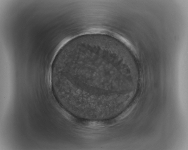 X0000111861275200908131452