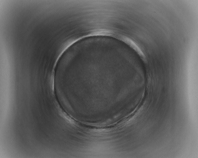 X0000111861276200908131452