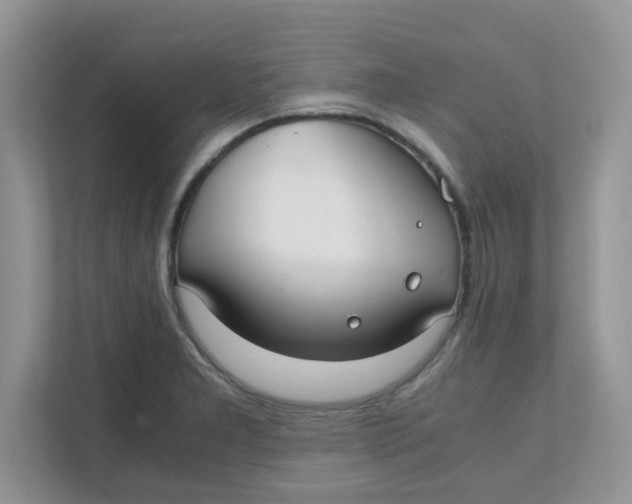 X0000111861277200908131452