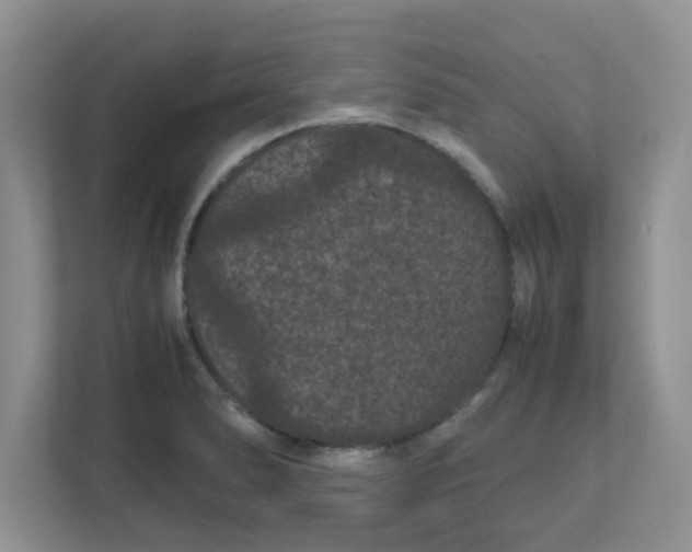 X0000111861278200908131452