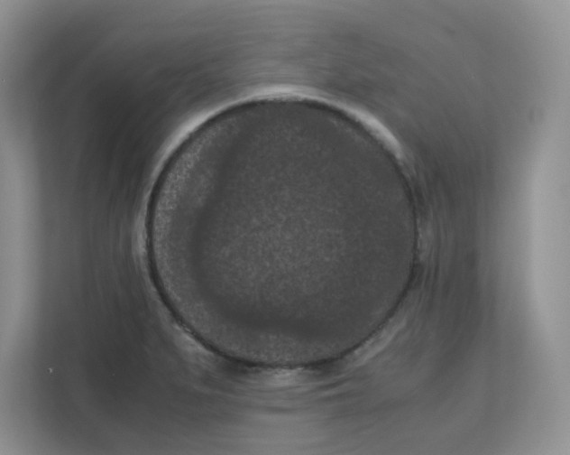 X0000111861279200908131452