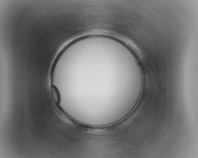 X0000111861280200908131452