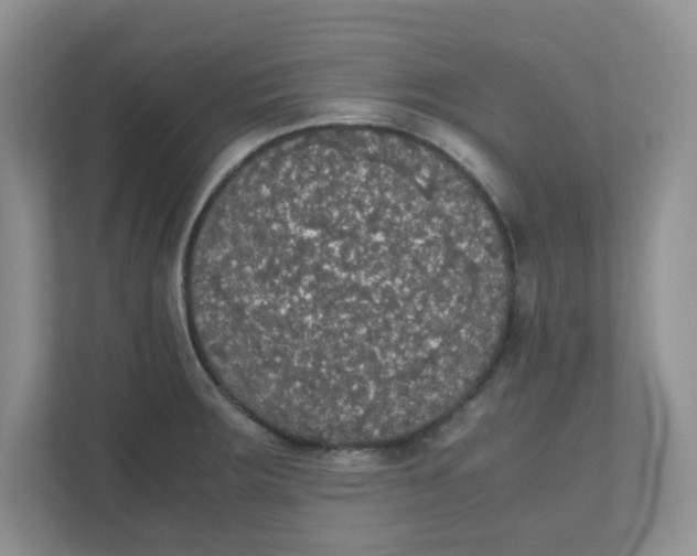 X0000111861283200908131452