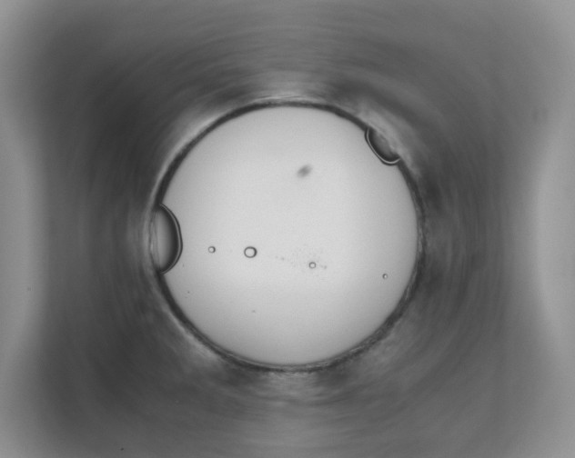 X0000111861285200908131452