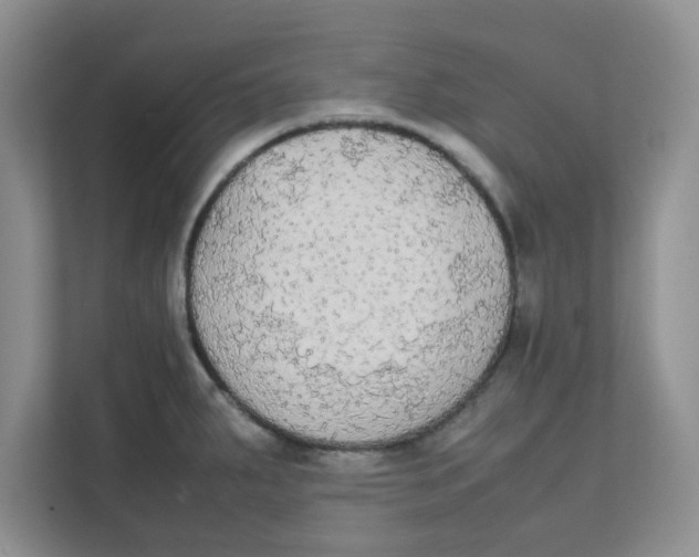 X0000111861287200908131452