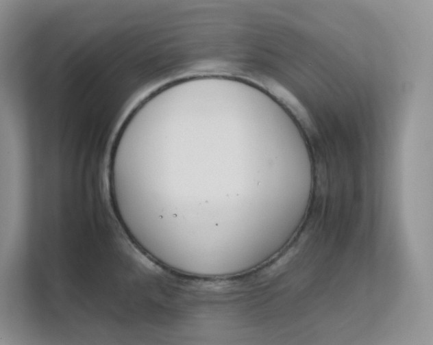 X0000111861288200908131452